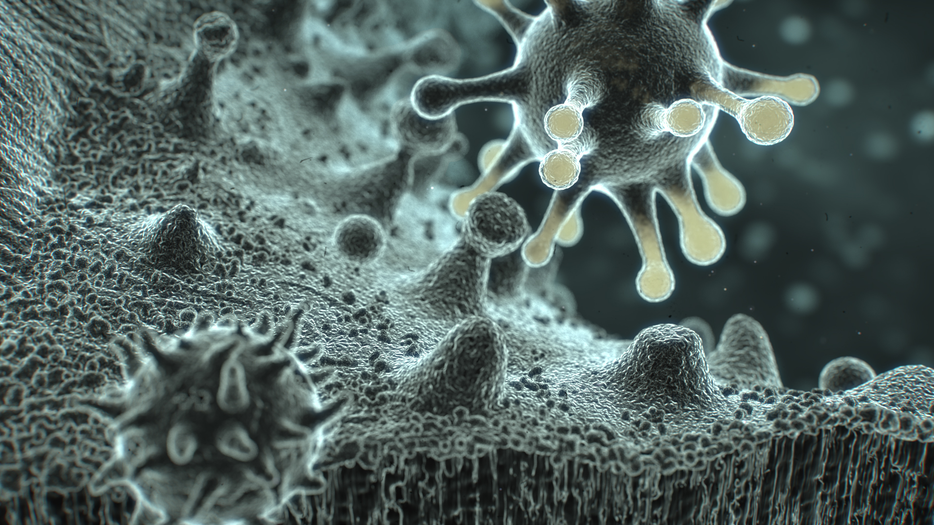 images/download/attachments/60098671/Metaballs_Organic.jpg