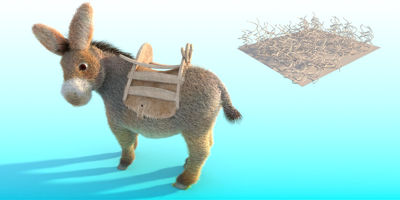 images/download/attachments/60098893/Donkey_curl_radius0012.jpg
