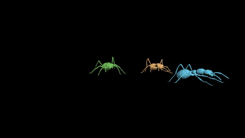 images/download/attachments/60099808/chapter_05_ants.jpg